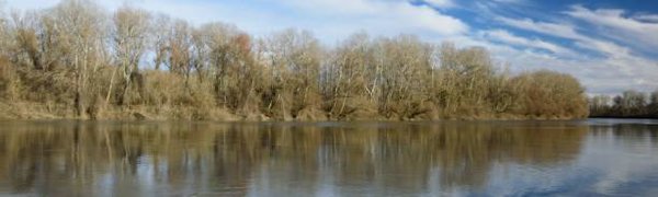 Реки Приморья очистились ото льда