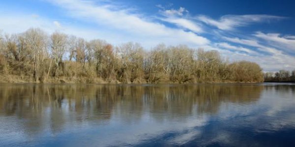 Реки Приморья очистились ото льда