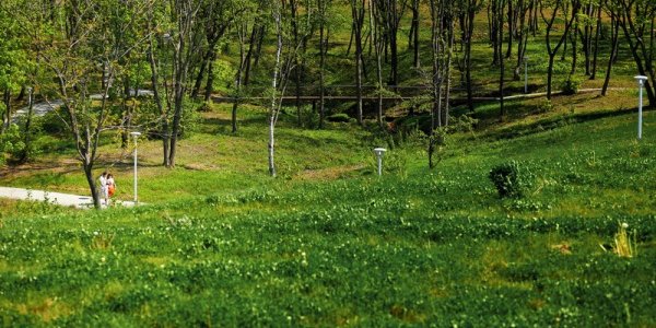 В Приморье снят особый противопожарный режим