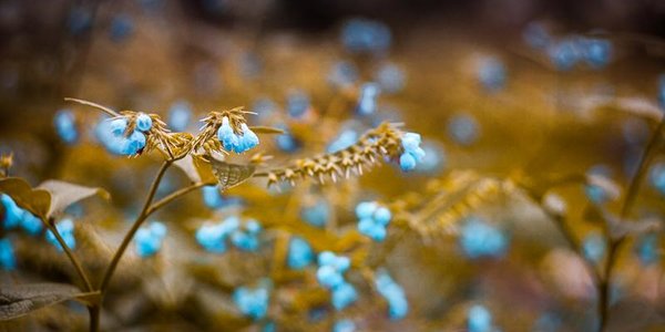 Сегодня существенных осадков во Владивостоке не ожидается