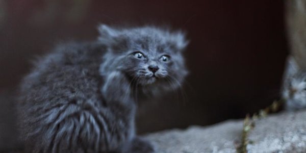 Синоптики рассказали о погоде в выходные дни в Приморье