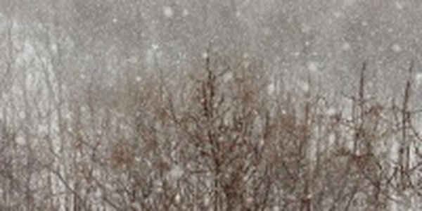 На юге Приморского края возможен слабый снег