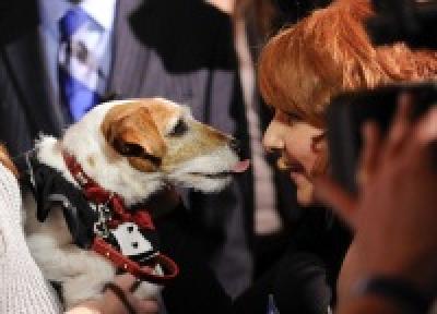В Лос-Анджелесе раздали «Золотые ошейники» самым звездным собакам