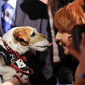 В Лос-Анджелесе раздали «Золотые ошейники» самым звездным собакам