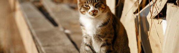 Прогноз погоды на выходные в Приморье: лучше одеваться потеплее