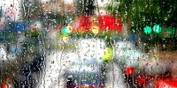 Приморье ждут дожди, грозы и туманы