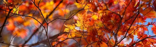 Октябрь в Приморье оказался аномально тёплым