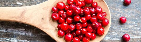 Брусника позволяет снизить негативное воздействие вредной пищи