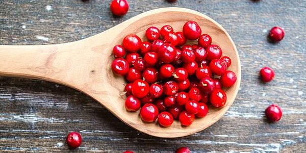 Брусника позволяет снизить негативное воздействие вредной пищи