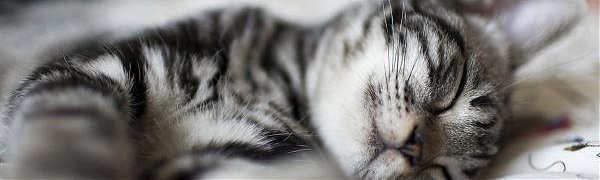 Назван день, когда люди лучше всего высыпаются