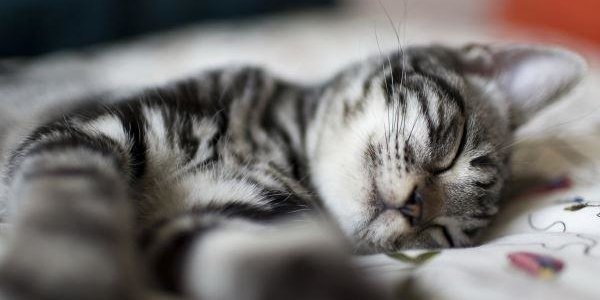 Назван день, когда люди лучше всего высыпаются