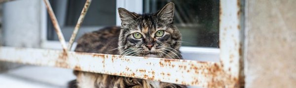 Погода во Владивостоке: в выходные придут холода