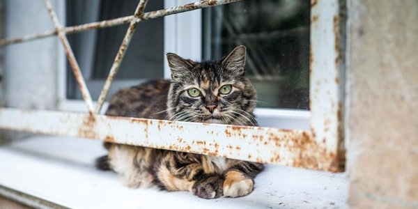 Погода во Владивостоке: в выходные придут холода