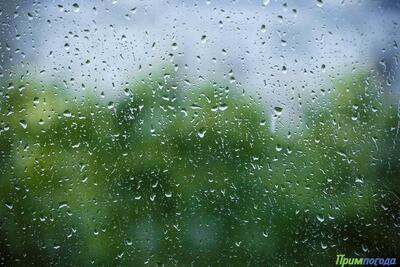 Дожди останутся в Приморье до конца рабочей недели