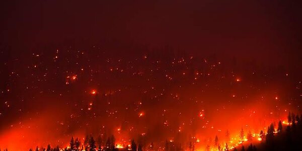 Рослесхоз оценил ущерб от пожаров в этом году в 7 млрд рублей