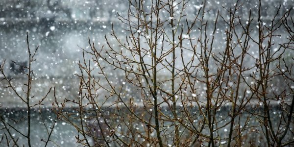 Снег с дождем пройдет в Приморье в выходные дни