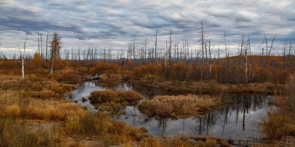 Сибирский антициклон принёс похолодание и усиление ветра на юг Дальнего Востока