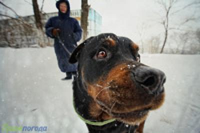 Вчера во Владивостоке выпало 4 мм осадков