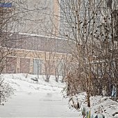 Вчера во Владивостоке выпало 4 мм осадков