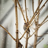 Вчера во Владивостоке выпало 4 мм осадков