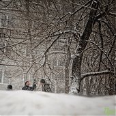 Вчера во Владивостоке выпало 4 мм осадков