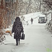 Вчера во Владивостоке выпало 4 мм осадков