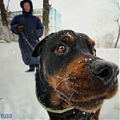 Вчера во Владивостоке выпало 4 мм осадков
