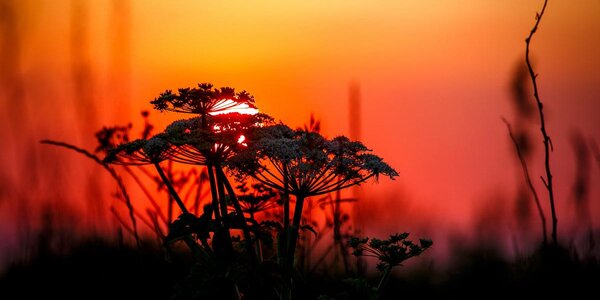 Сентябрь принёс в Приморье тёплую и солнечную погоду