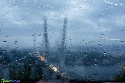 Минувший август стал самым дождливым за всю историю Владивостока