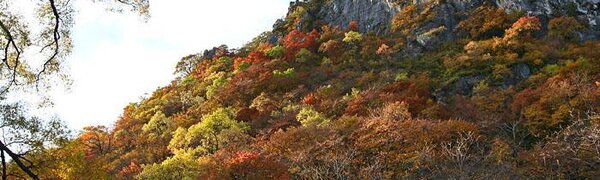 Стало известно, какая погода ожидает Приморье и Владивосток в начале следующей недели