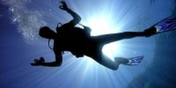 Дайверы навели порядок в бухте Федорова