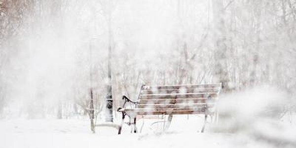 Холодный февраль пообещали россиянам в Гидрометцентре