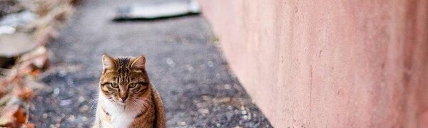 Весна на два дня заглянула в Приморье