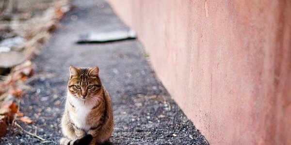 Весна на два дня заглянула в Приморье