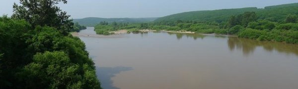 На реке Раздольная и её притоках начался интенсивный спад уровня воды