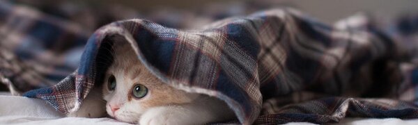 На этой неделе ночью в горных районах Приморья похолодает до -5 °С