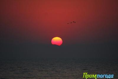 Солнечная погода радует приморцев