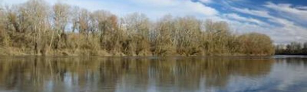 Реки Приморья очистились ото льда