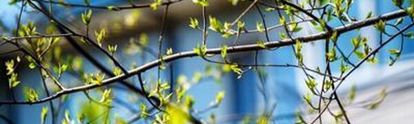 Атмосферный фронт принес тепло в Приморье