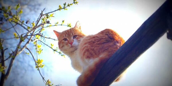 Тёплые выходные ожидаются в Приморье