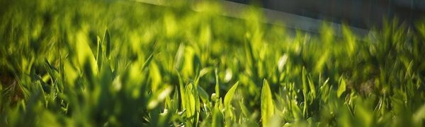 До +22°С, местами до +25°С, прогреется воздух в континентальных районах Приморья в середине следующей недели