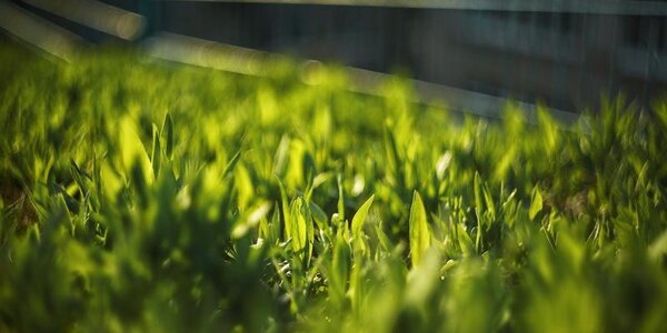 До +22°С, местами до +25°С, прогреется воздух в континентальных районах Приморья в середине следующей недели