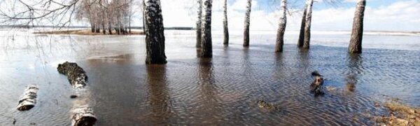 Подъем воды весеннего половодья продолжается на реках бассейна Уссури