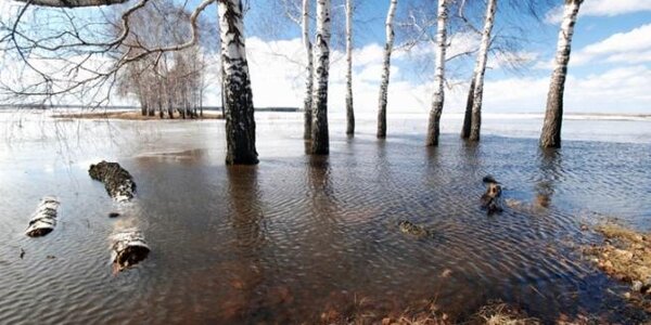 Подъем воды весеннего половодья продолжается на реках бассейна Уссури
