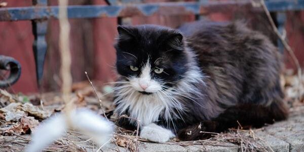 Неустойчивая погода снова ожидается в Приморье на этой неделе