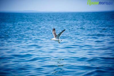 Спокойная погода придет на большую часть Приморья в среду