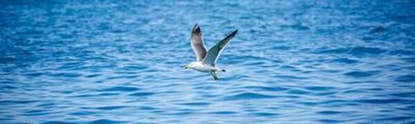 Спокойная погода придет на большую часть Приморья в среду