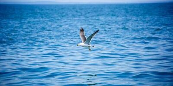 Спокойная погода придет на большую часть Приморья в среду