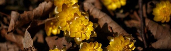 Выходные в Приморье порадуют теплой погодой