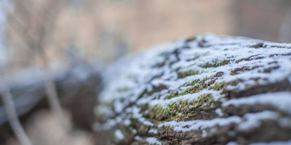 Циклон принесёт в Приморье потепление и небольшие осадки